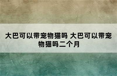 大巴可以带宠物猫吗 大巴可以带宠物猫吗二个月